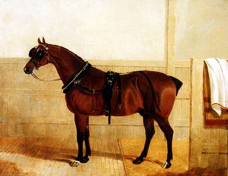 Prize Shire Horse in Harness van John Frederick Herring d.Ä.