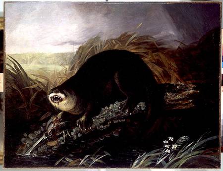 Otter Caught in a Trap van John James Audubon