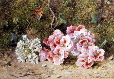 Butterfly and Flowers van John Jessop Hardwick