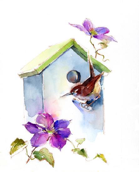 Wren with birdhouse and clematis
