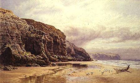 The Coast of Cornwall van John Mogford