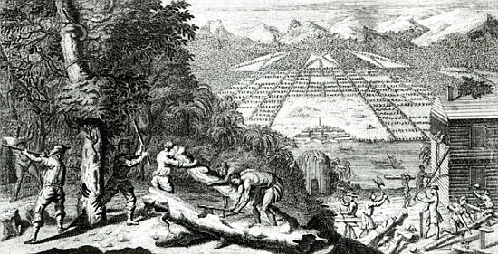 Illustration from ''The Reasons for establishing the Colony of Georgia'' Benjamin Martyn (1699-1763) van John Pine