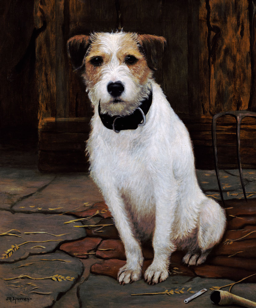 Portrait of Terrier van John Rabone Harvey