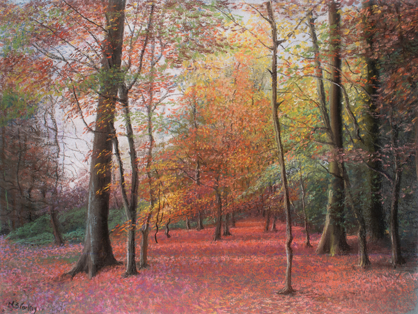 Autumn in the Woods van Margo Starkey
