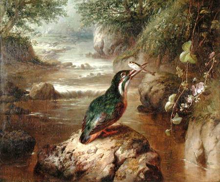The Haunt of the Kingfisher van John Wainwright