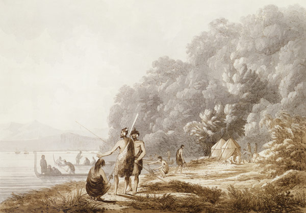 View in Queen Charlotte's Sound, New Zealand, from 'Views in the South Seas', pub. 1790 (etching) van John Webber