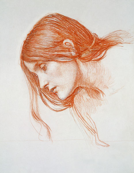 Study of a Girl's Head van John William Waterhouse