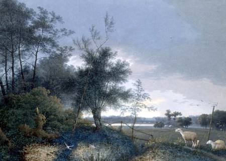Landscape with a fox chasing geese van Joseph August Knip