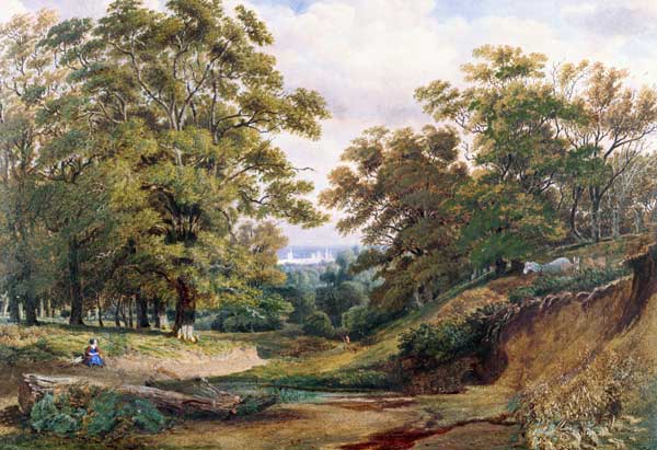 A Scene in Bagley Wood near Oxford (w/c and bodycolour) van William Turner