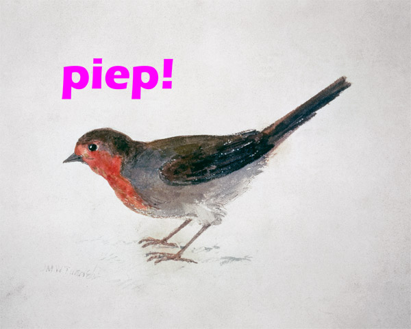 Robin, from The Farnley Book of Birds  - "piep!" van William Turner