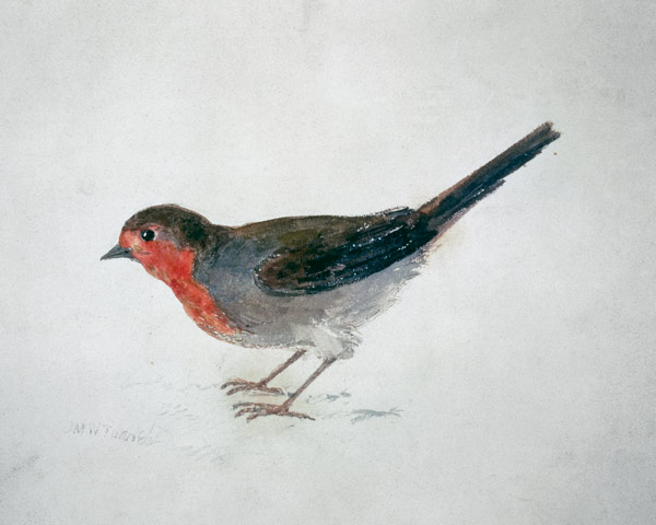 Robin, from The Farnley Book of Birds, c.1816 (pencil and w/c on paper) van William Turner