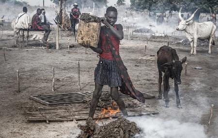 A scene in a mundari cattle camp - South Sudan