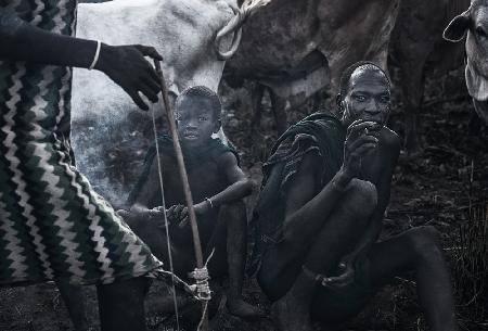 Surma tribe people taking care of their herd of cows - Ethiopia