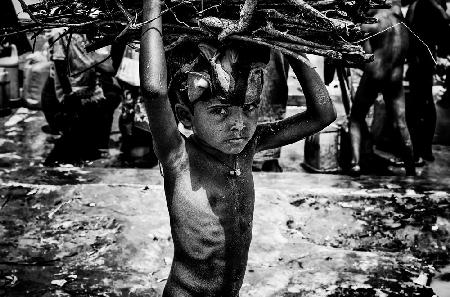 Rohingya refugee child carrying some wood to make fire - Bangaldesh