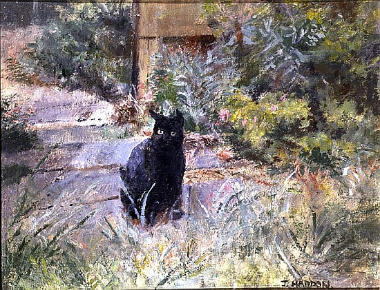 Fat Mog in the Garden (oil on canvas)  van Joyce  Haddon