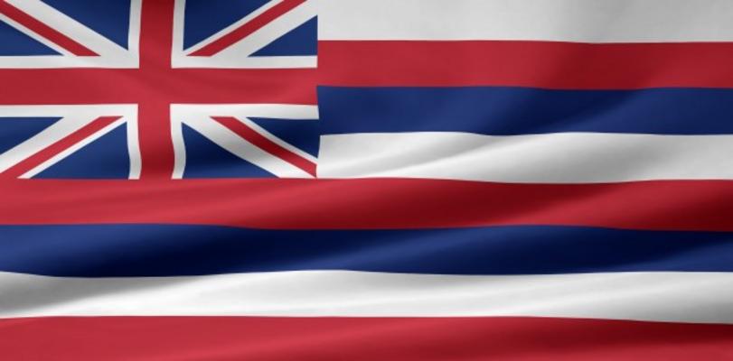Hawaii Flagge van Juergen Priewe
