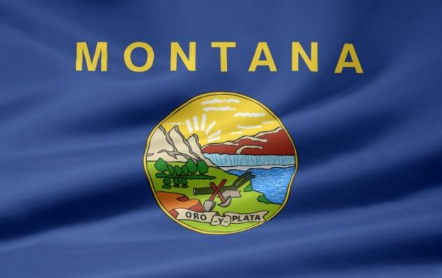 Montana Flagge van Juergen Priewe