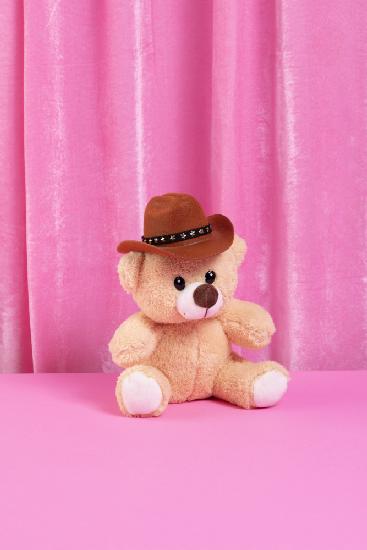 Cowboy teddy bear