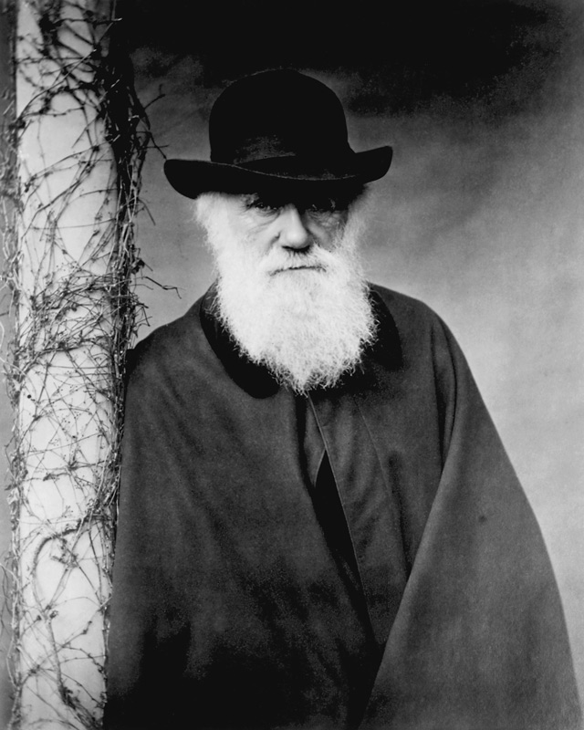 Portrait of Charles Darwin (1809-82) 1881 (b/w photo)  van Julia Margaret Cameron