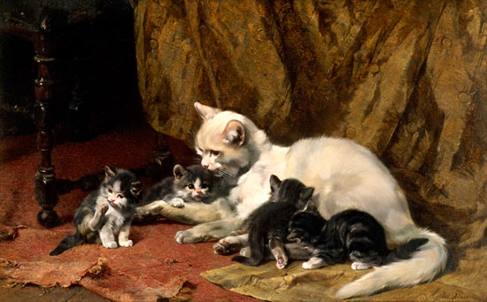 Katze mit vier Jungen auf einem alten Teppich. van Julius Adam