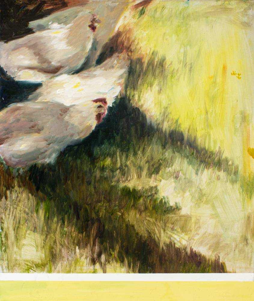 Hühner im Schatten van Julius Müller