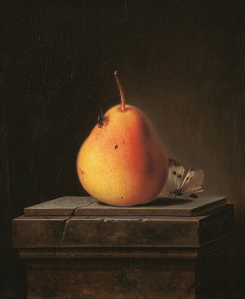 Still Life with Pear and Insects van Justus Juncker