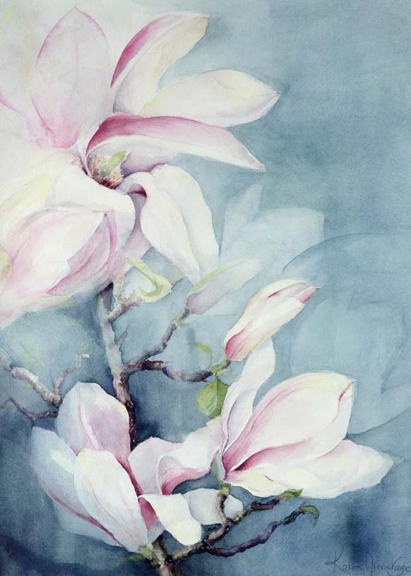 Magnolia Soulangeana (vertical)  van Karen  Armitage