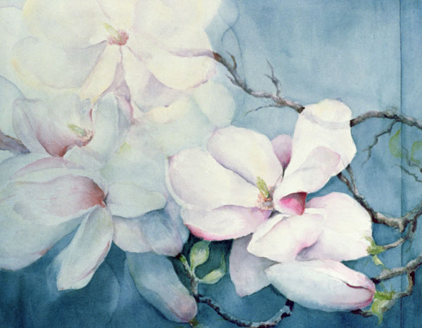Magnolia Soulangeana (horizontal)  van Karen  Armitage
