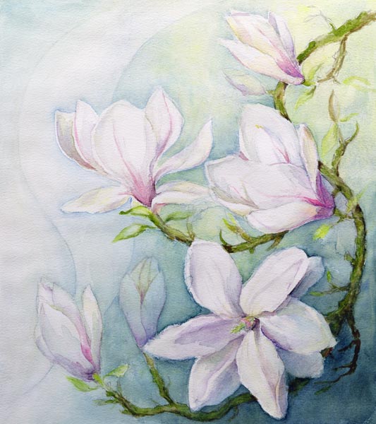 Magnolias (w/c)  van Karen  Armitage