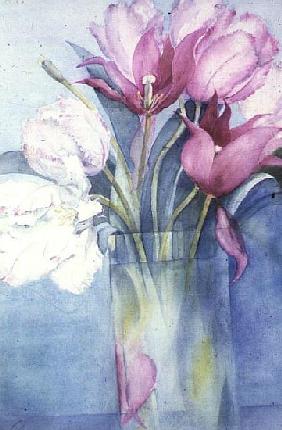 Pink Parrot Tulips and Marlette 