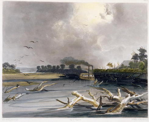 Snags (sunken trees) on the Missouri, plate 6 from Volume 2 of 'Travels in the Interior of North Ame van Karl Bodmer