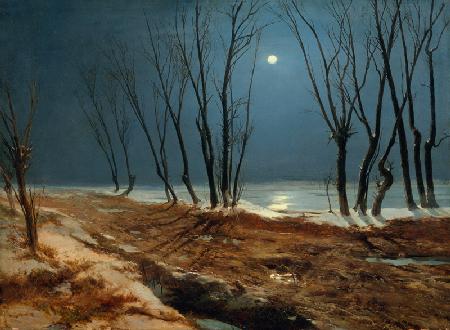Landschaft im Winter bei Mondschein