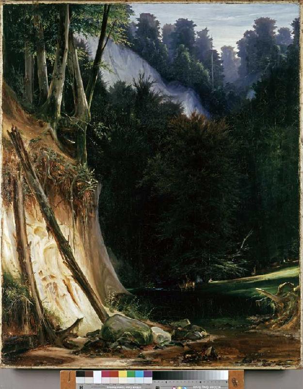 Waldschlucht mit Rotwild van Karl Eduard Ferdinand Blechen