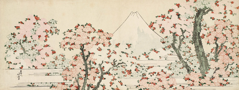 The Mount Fuji with Cherry Trees in Bloom van Katsushika Hokusai