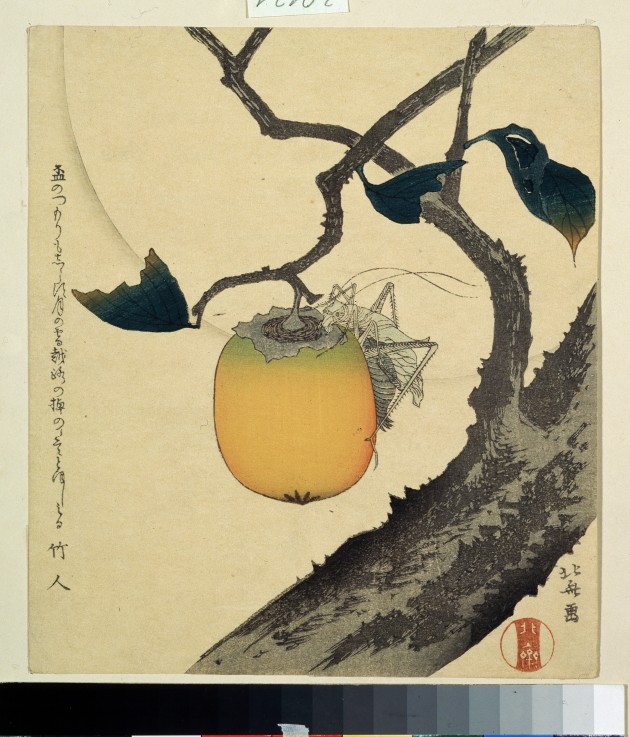 Moon, Persimmon and Grasshopper van Katsushika Hokusai