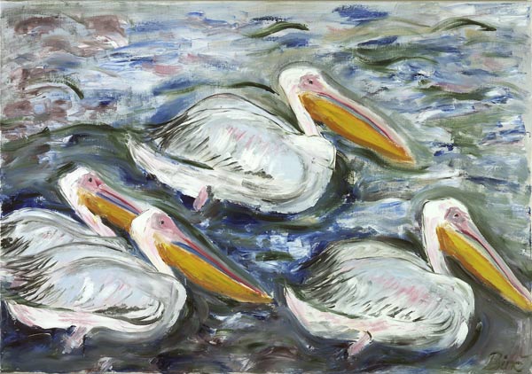 Pelikane van Sabine Katterle