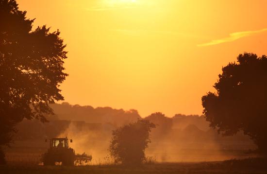 Traktor im Sonnenuntergang van Kay Nietfeld