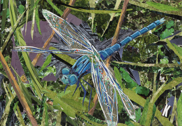 Blue Dragonfly van Kirstie Adamson