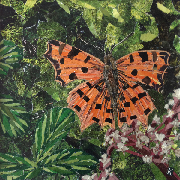 Flutter - Comma Butterfly On Japonica van Kirstie Adamson