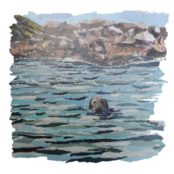 Seal Island van Kirstie Adamson