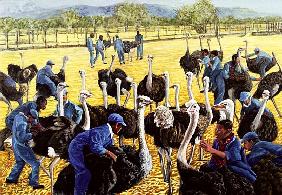 Ostrich Farm, 1988 (gouache on rice paper) 