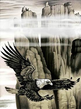 Der Adler und die Felsen