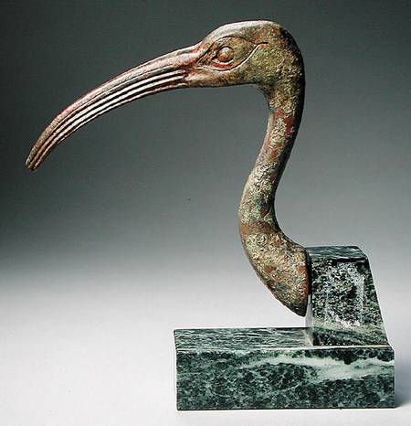 Head of an ibis van Late Period Egyptian