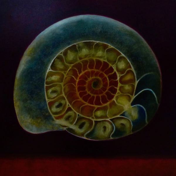 Green Ammonite van Lee Campbell