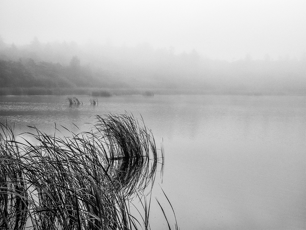 Lake mood on a foggy day van Leif Løndal