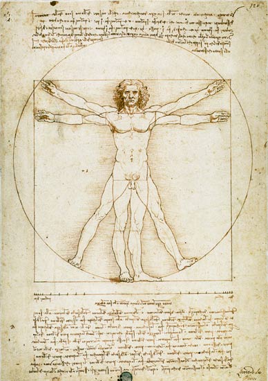 Man van Vitruvius  van Leonardo da Vinci