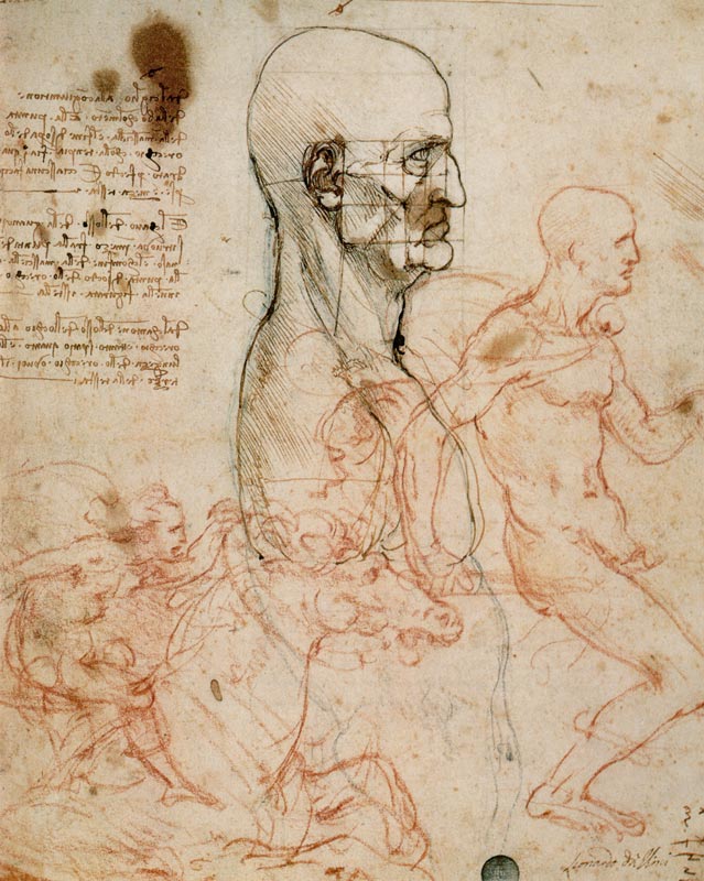 Anatomical studies van Leonardo da Vinci