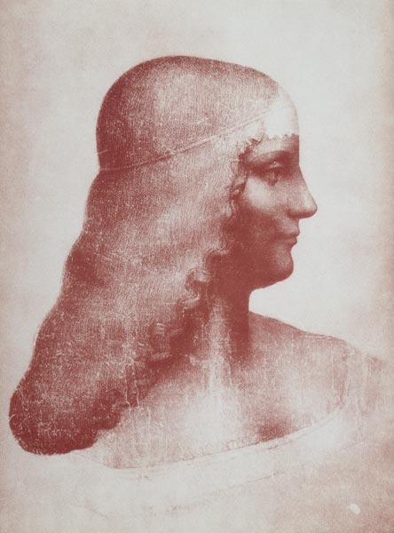 Head of a Woman in Profile van Leonardo da Vinci