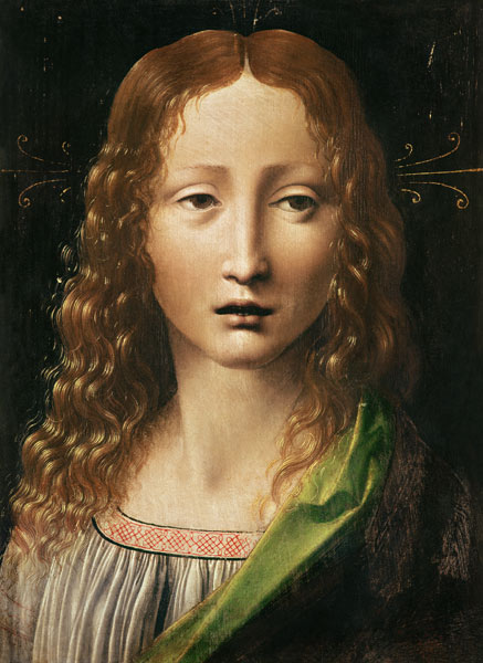 Head of the Saviour van Leonardo da Vinci