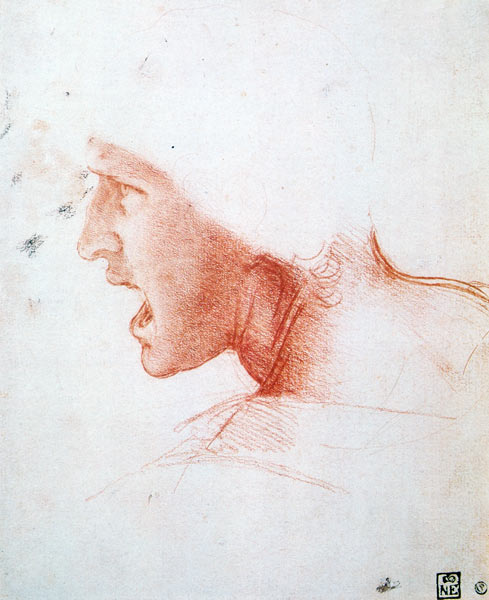 Study of a Warrior's Head for the Battle of Anghiari van Leonardo da Vinci